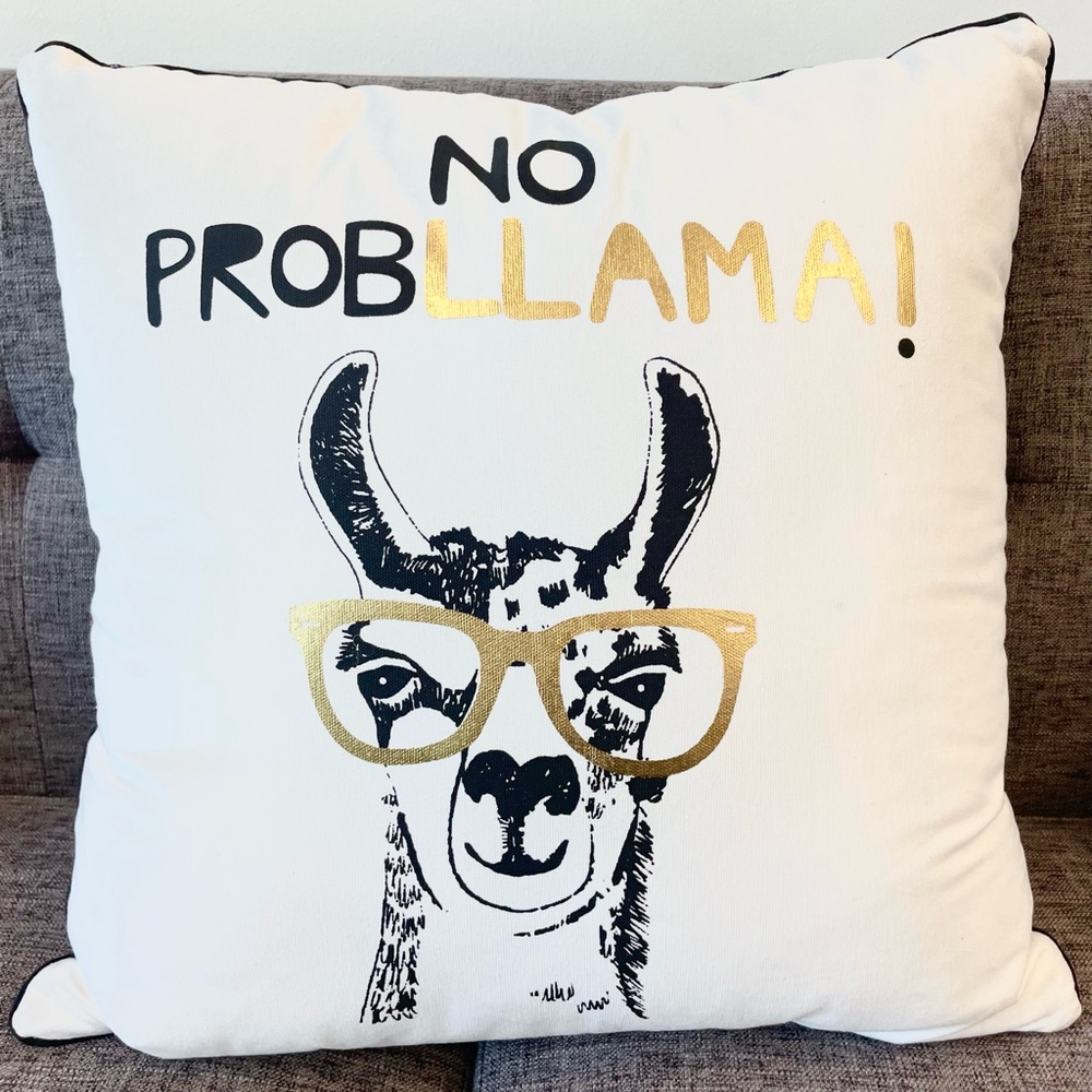 CLEAN No Probllama pillow